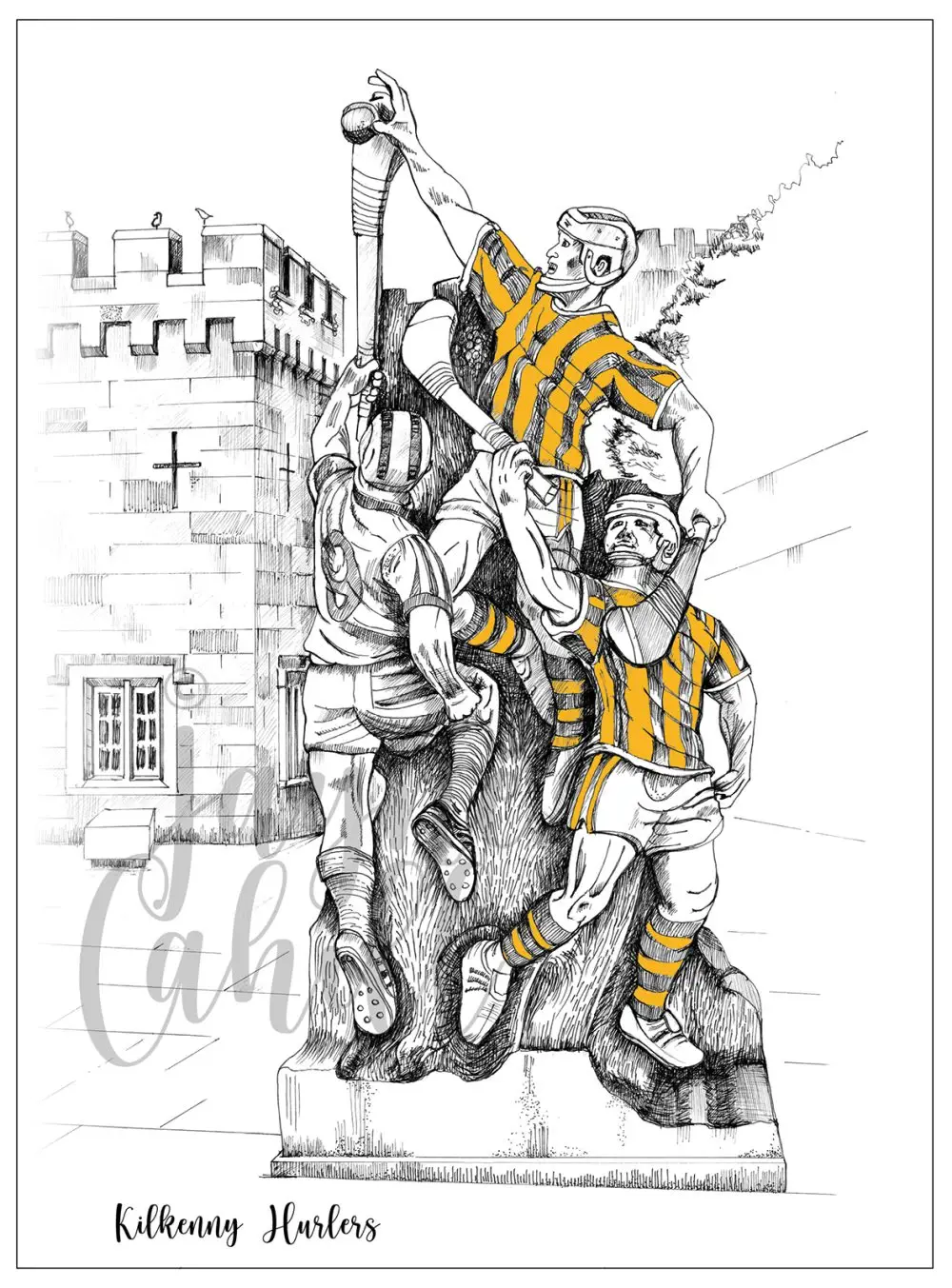 Kilkenny Hurlers
